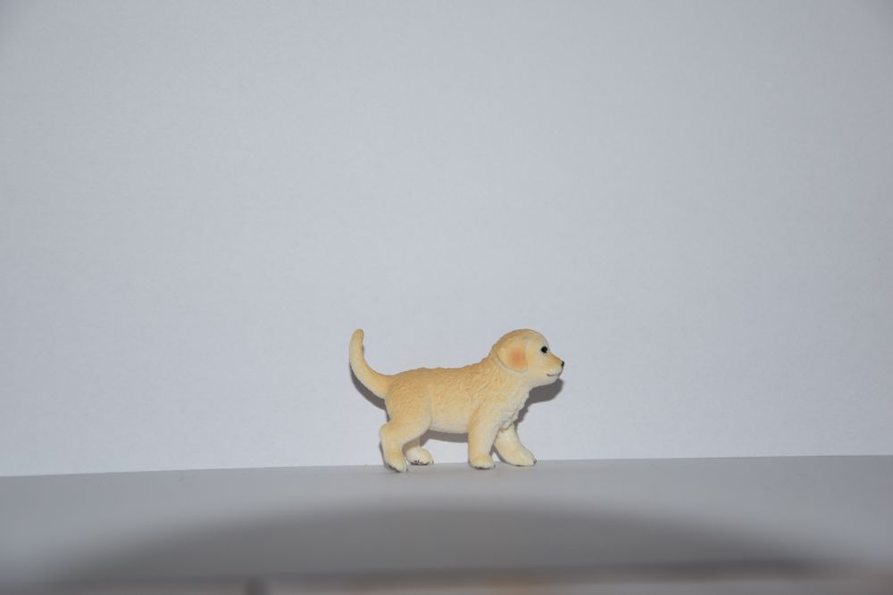 Mały labrador, szczeniak Schleich