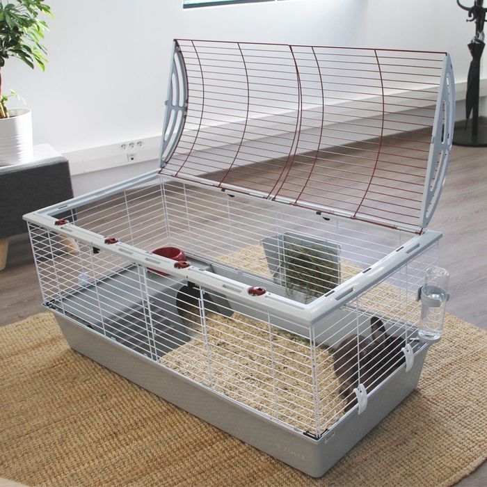 Gaiola Zolia completa para coelhos/porcos da índia