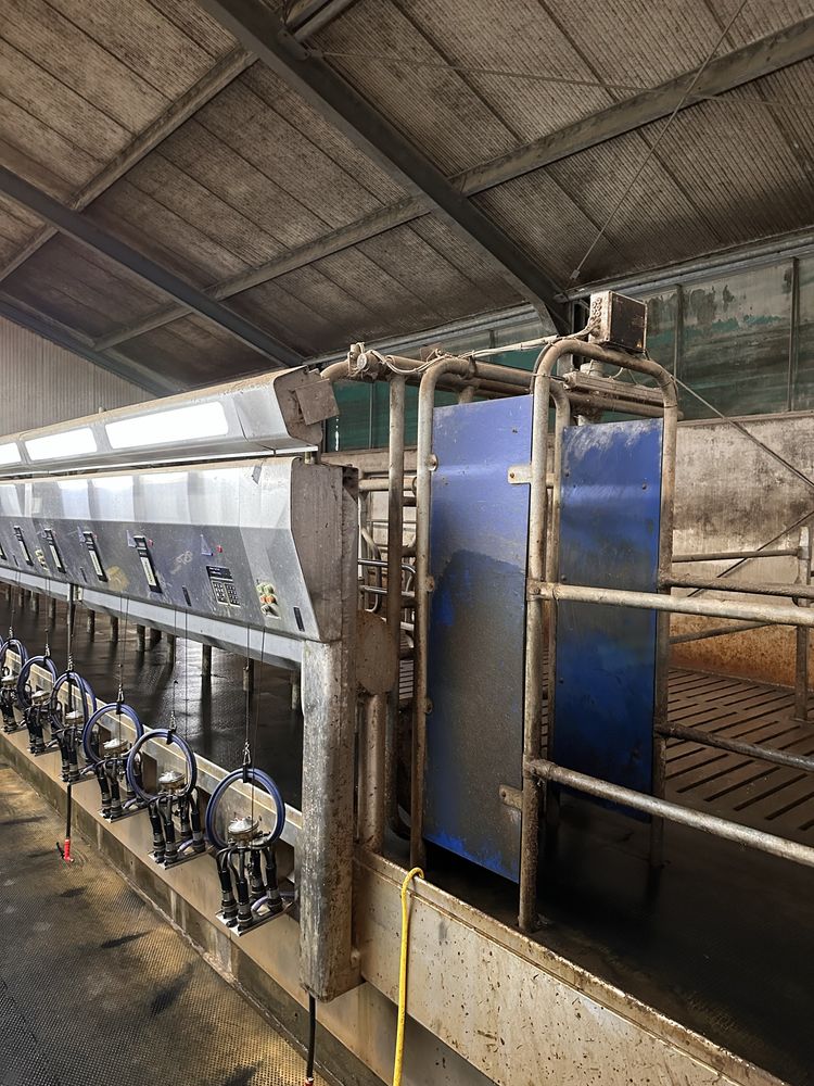 Hala udojowa DeLaval 2x15 bok w bok P2100 Blue Daimond z DelPro