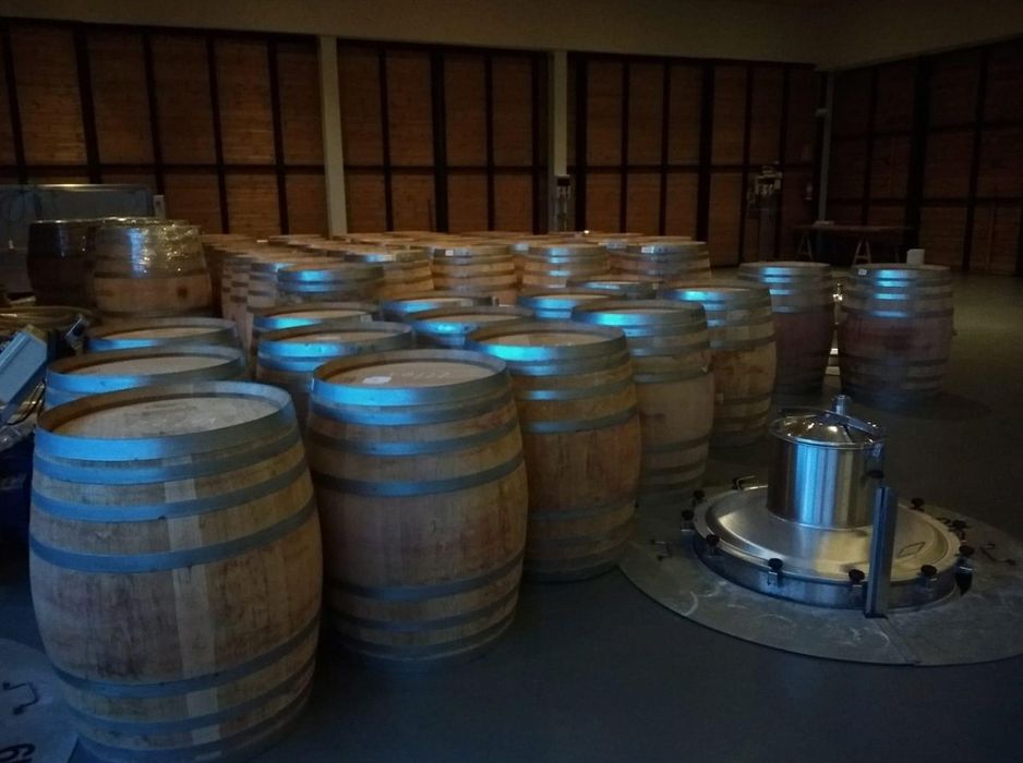 Barris/Barricas de madeira carvalho francês