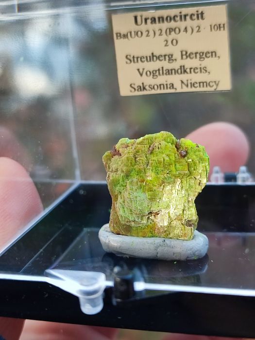 Minerał do kolekcji uranowy uranicircit UV