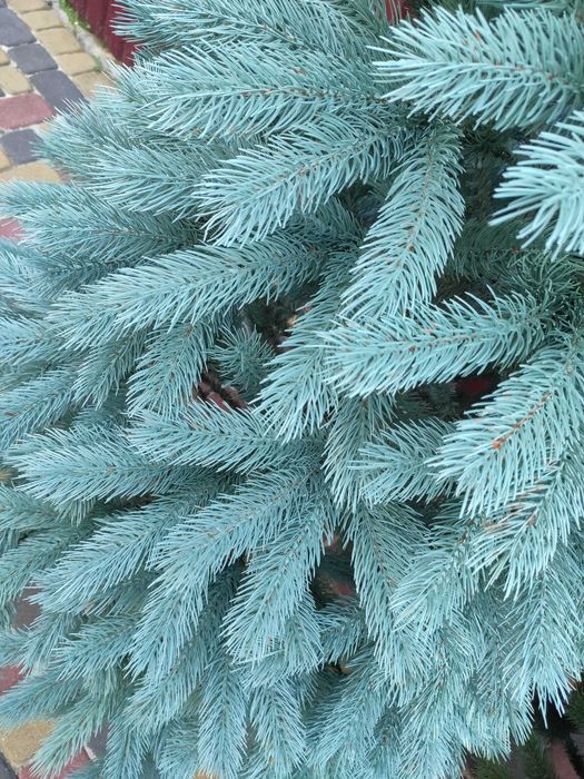 Штучна Ялинка " Буковельська Лита" Світло та Темно-зелені, на знижці!