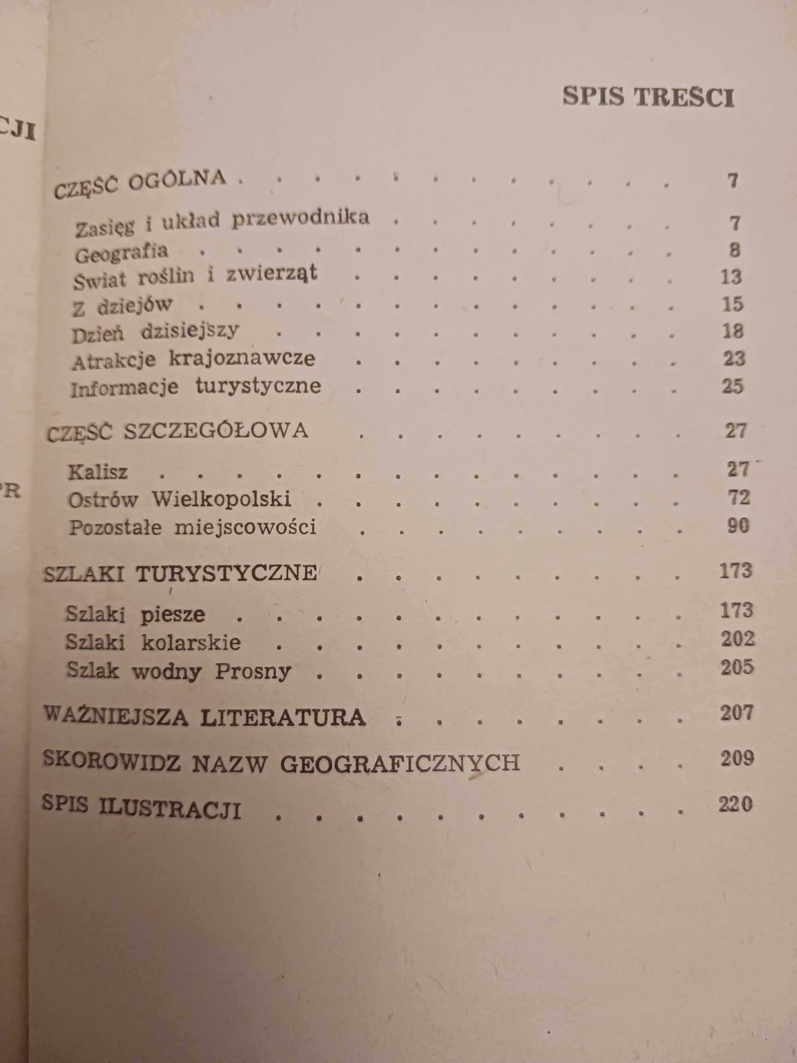 Kalisz, Ostrów Wielkopolski i okolice, Przewodnik