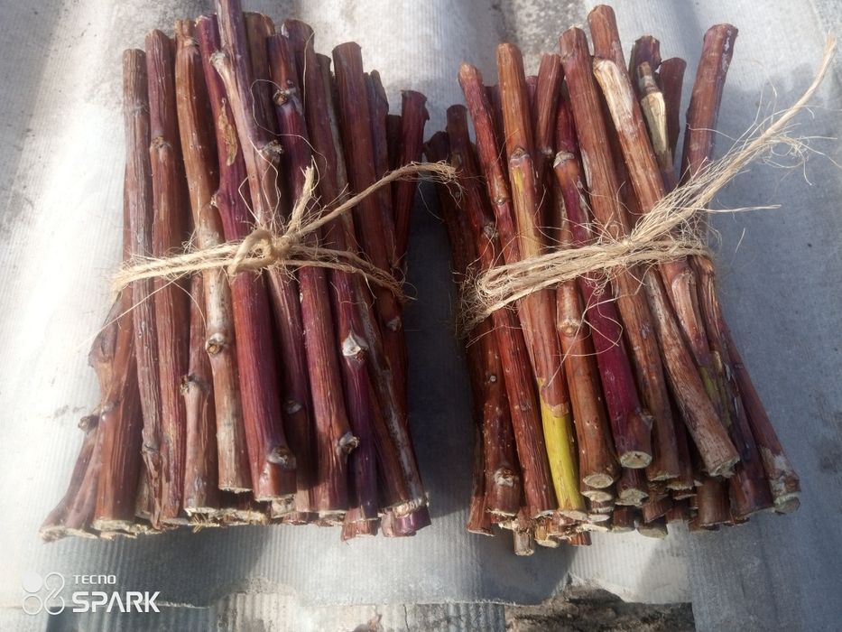 Гілки малини для корму животних