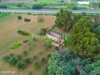 Quinta com 5 hectares e ruína