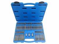 Набір біт насадок  TORX. HEX. SPLINE. RIBE 75од falon-tech FT16075P