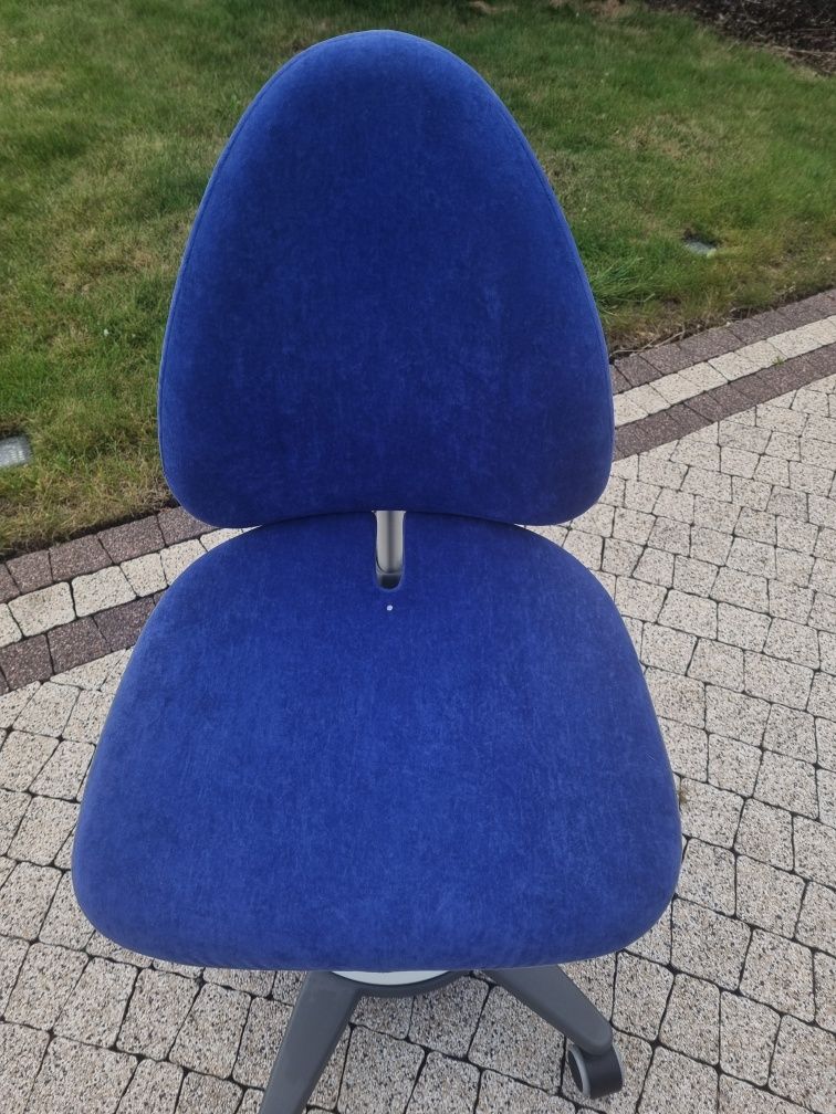 Moll Maximo krzesło ergonomiczne