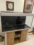 Vendo Aquário 400Litros