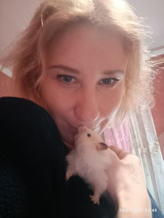 Гризуни в добрі руки