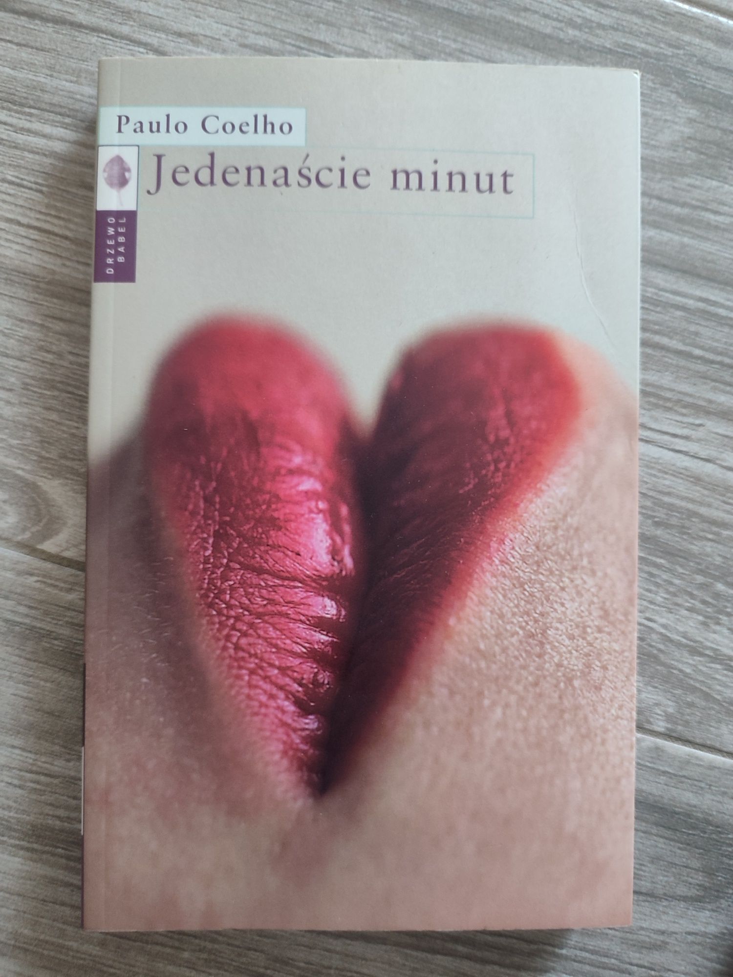 Jedenaście minut Paulo Coelho