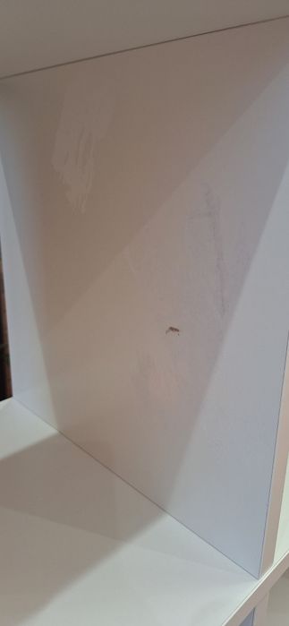 regal kallax Ikea bialy