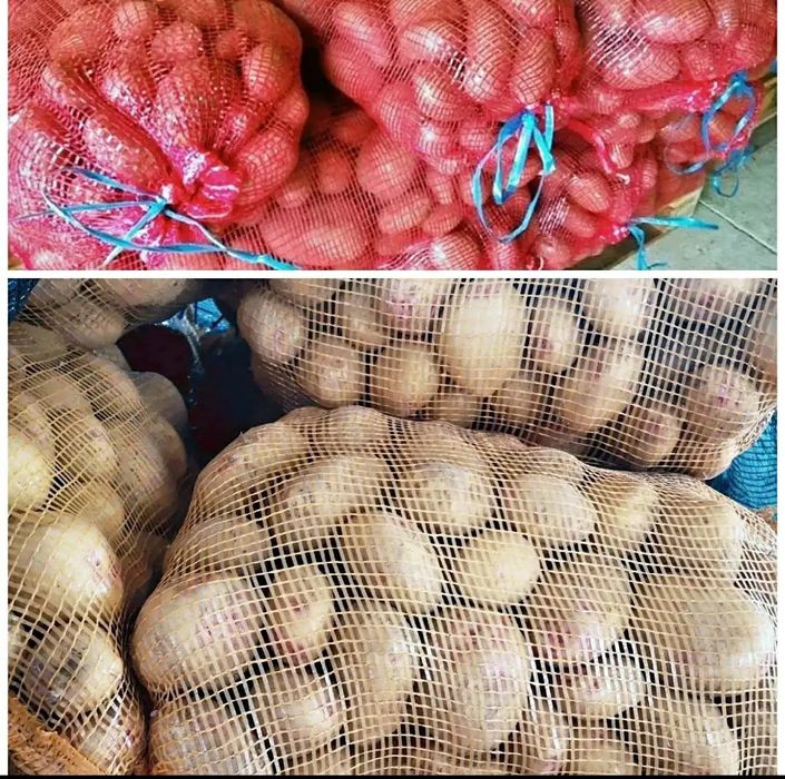 Vende_ se Sacos de batatas 20kg 10€ tenho da Agria e da Vermelha t