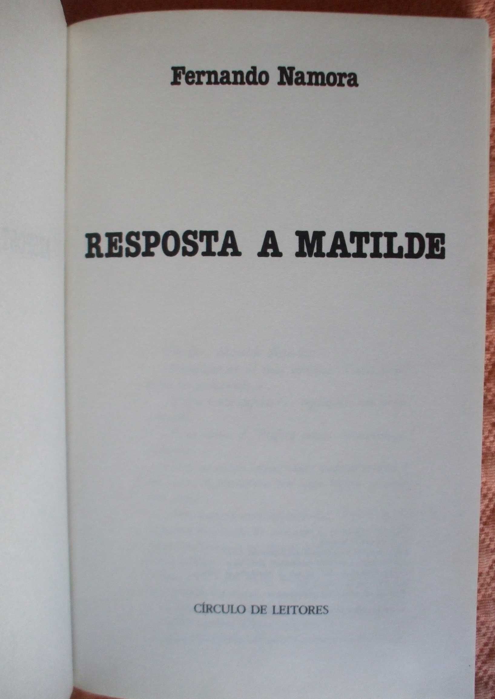 Resposta a Matilde, Fernando Namora