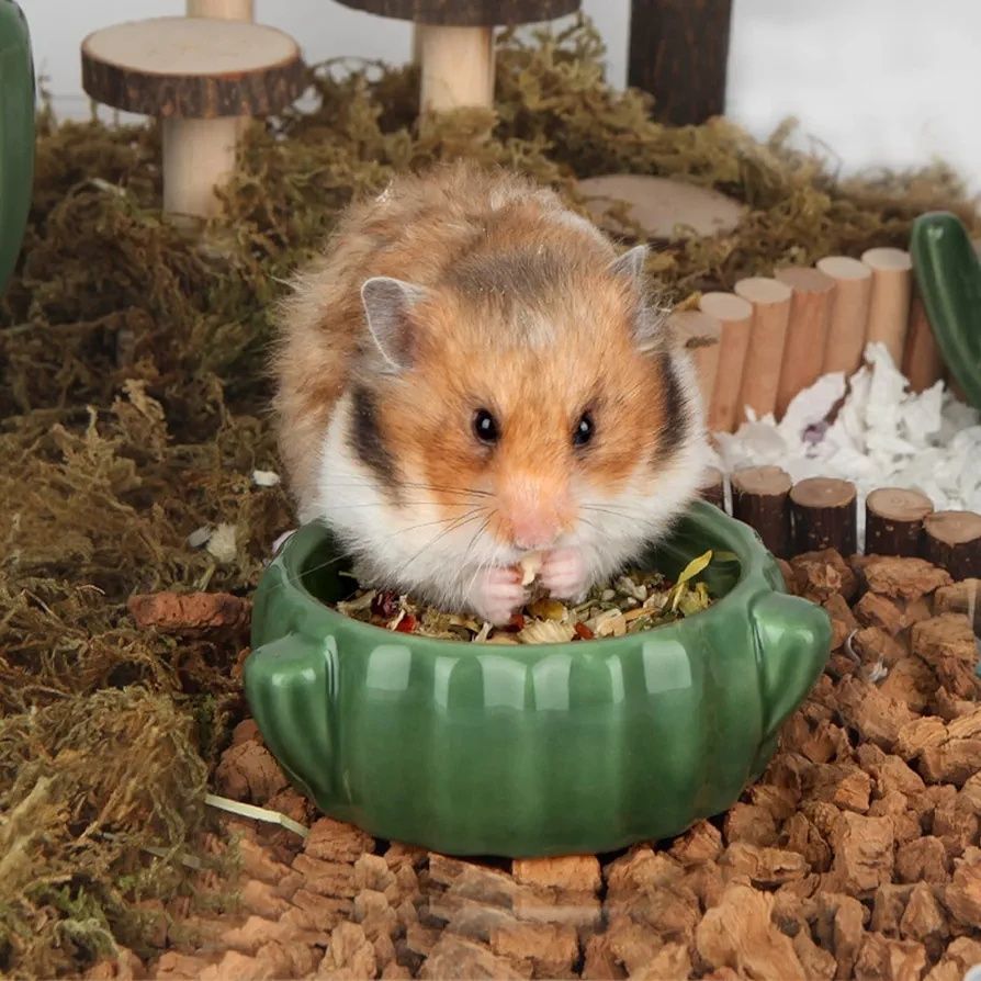 Casa hamster pequenos animais porquinho índia ouriço NOVO PORTESGRÁTIS