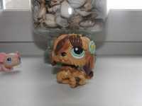 LPS Little Pet Shop Brązowy Owczarek Hasbro 20