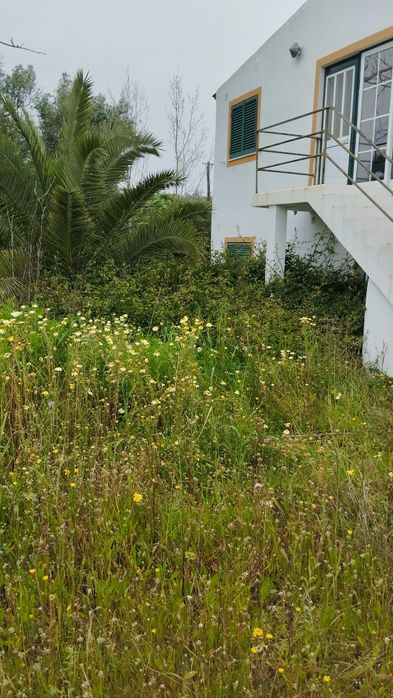 Prestacao de servicos limpeza de terrenos