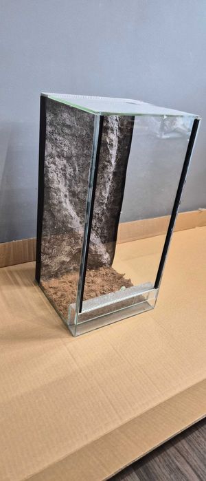 Terrarium dla pająka