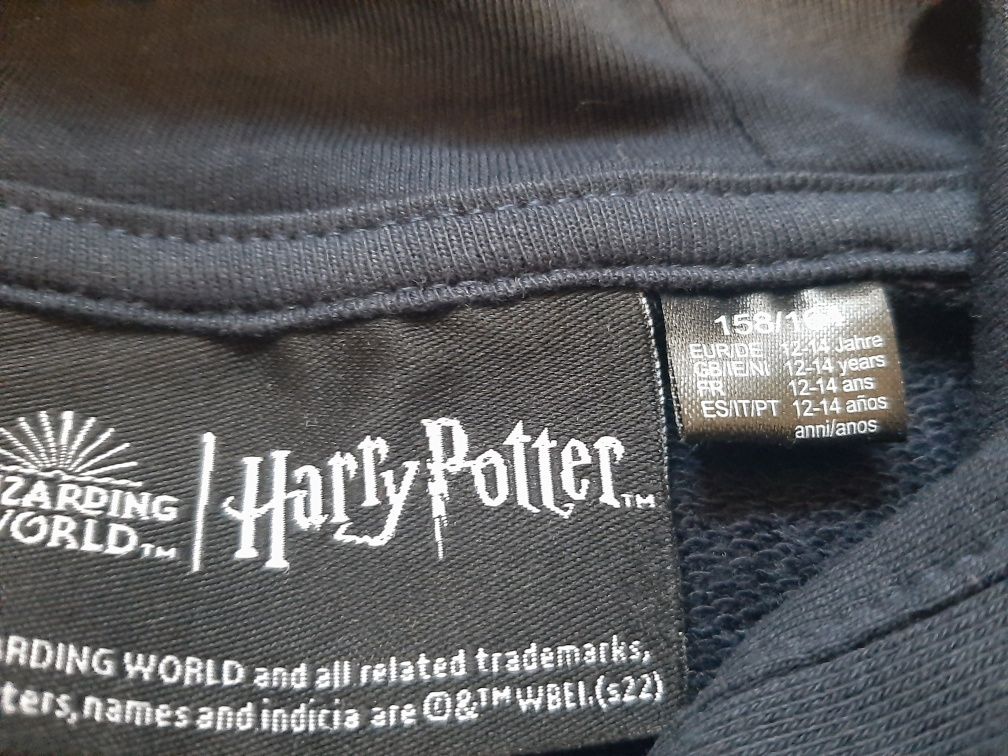 Bluza chłopięca sportowa Harry Potter 158/164