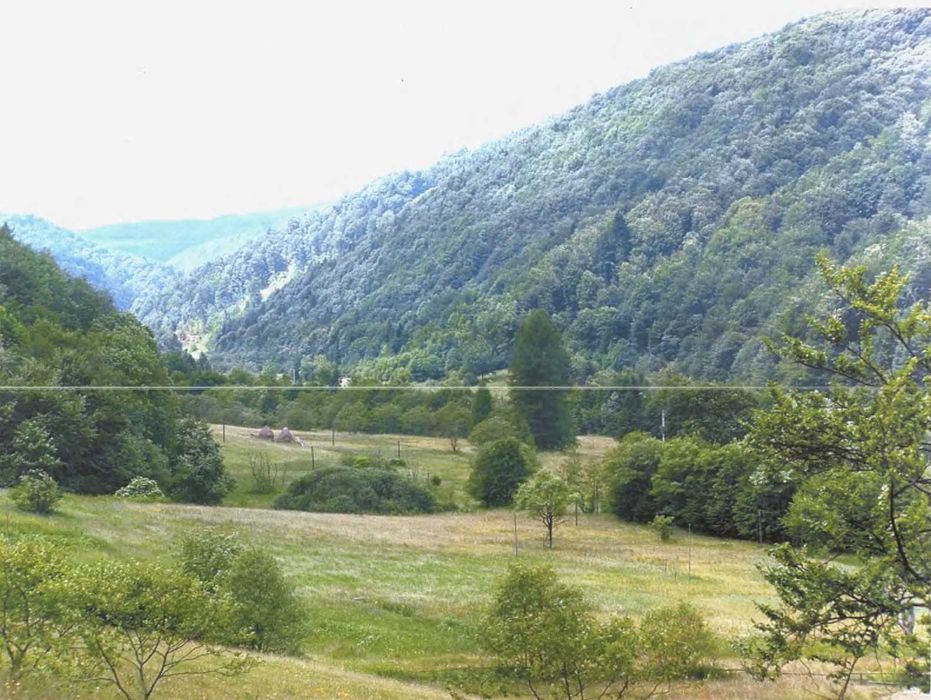 Продаж комерційної земельної ділянки 3,5 га с.Кринтята (Майдан)