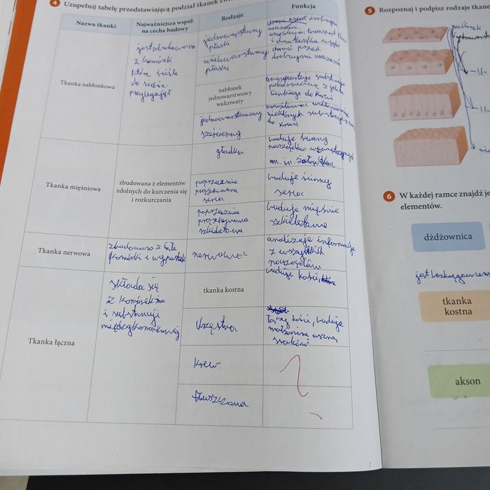 Zeszyt ćwiczeń biologia klasa 6 Puls życia Nowa Era 2022