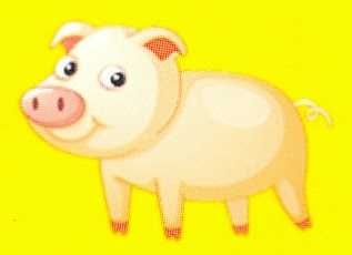 Продам свиней  120-160  кг , мясні , продаж  свиней живою вагою