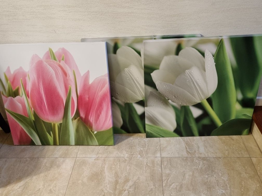 Obraz , obrazy tulipany