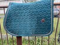 Czaprak kentucky full