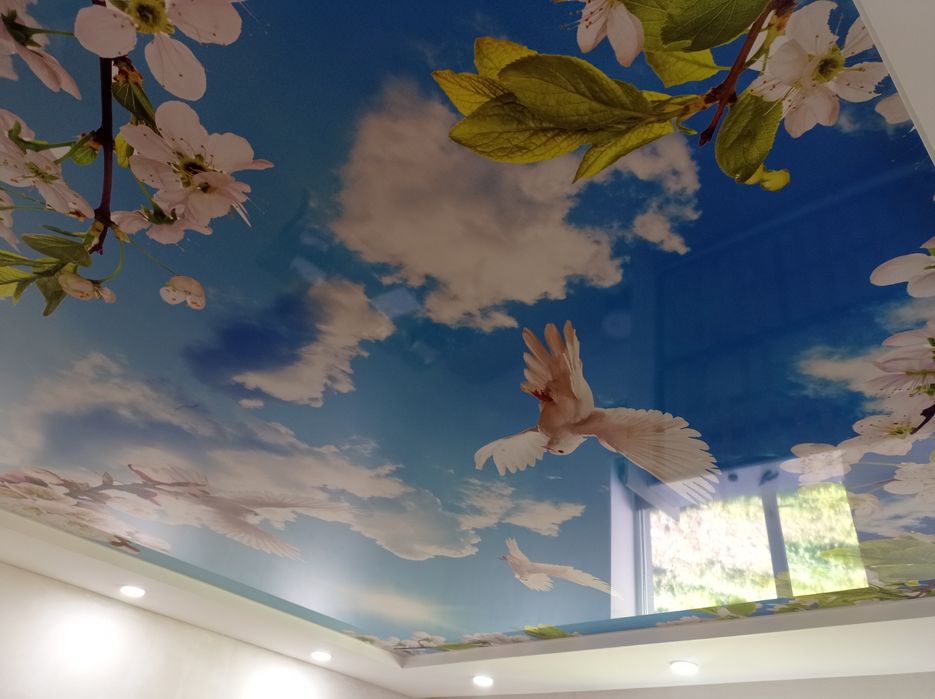 Натяжні стелі від 300 грн за м²