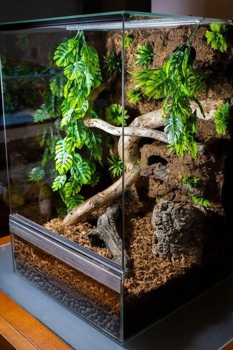 Terrarium 45x45x60 dla gekona orzesionego