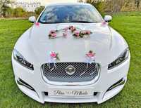 Auto Do Ślubu-Jaguar XF Premium Luxury Limousine