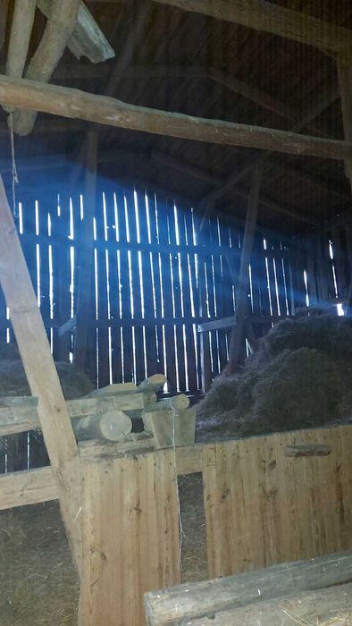 Bydgoszcz ok. Kobylarnia Działka 2220 m2 wśród zieleni- Stodoła GRATIS