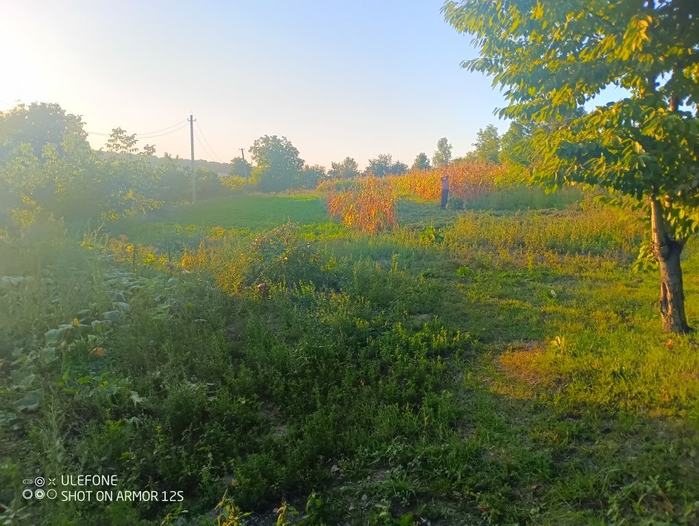 Будинок для життя в добрі руки. Сад город гараж сарай літня кухня