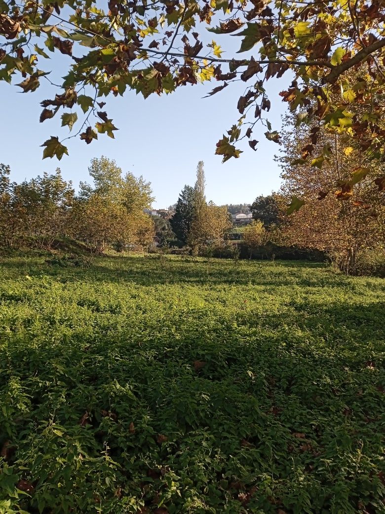 Vende-se terreno agrícola com monte