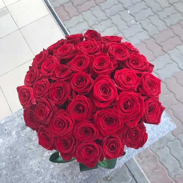 Букет ярких роз, розы, цветы