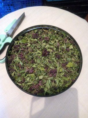 Vendo plantas aromáticas e medicinais desidratadas