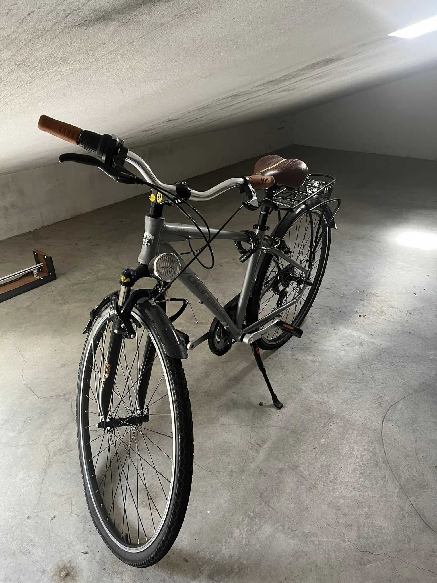 Bicicleta Adulto