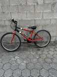 Bicicleta dia a dia