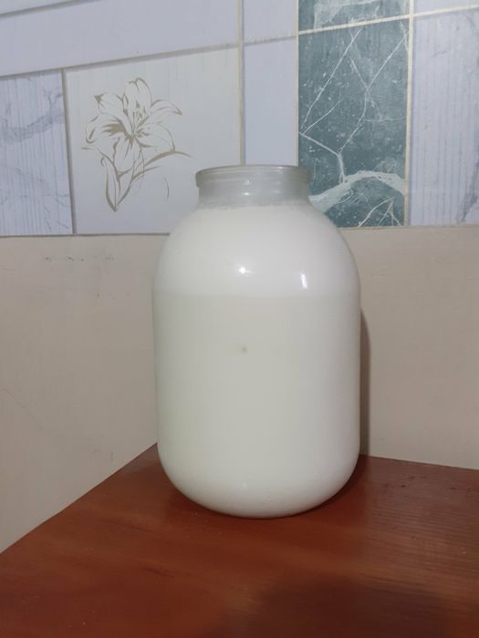 Продам две коровки на хозяйство