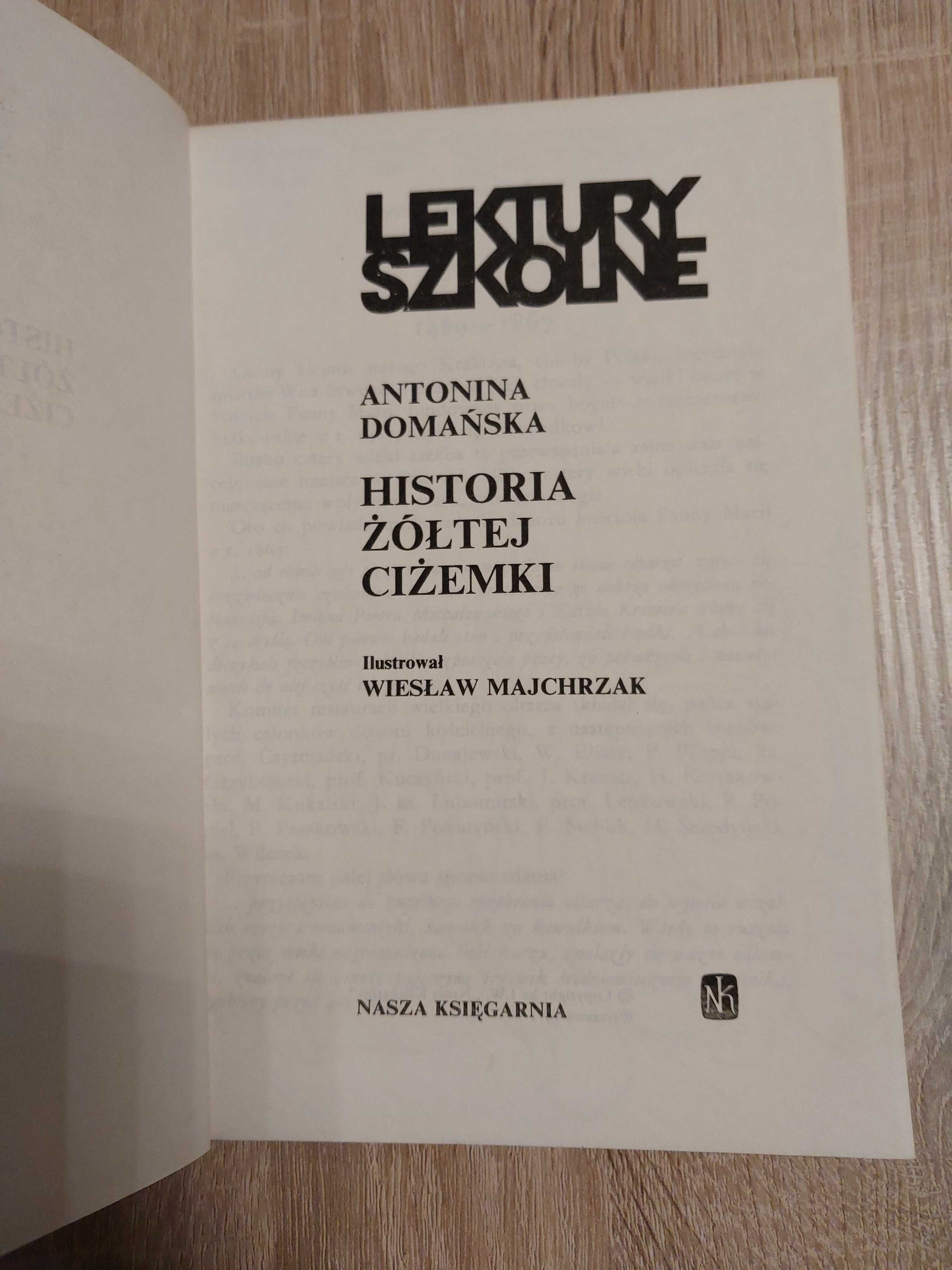 Historia żółtej ciżemki, Paziowie króla Zygmunta