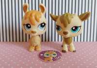 Littlest Pet Shop LPS unikatowy zestaw lama i kozioł