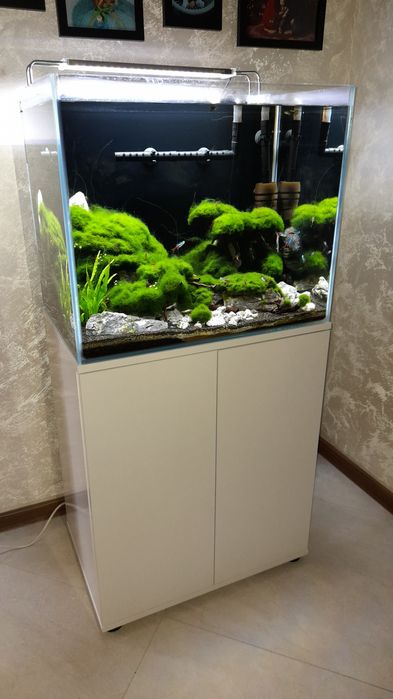 Akwarium krewetkarium OptiWhite 120 Ltr 60x50x40 z zyciem full zestaw