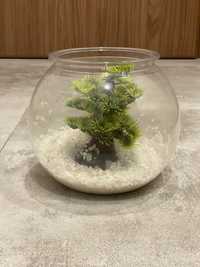 Akwarium plastikowe Nobleza 4l, bonsai, dodatki i karma bojownik