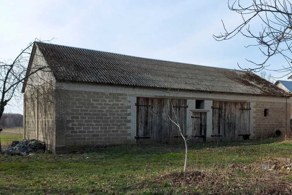 Siedlisko 30 km od Mińska Mazowieckiego! 0,5 hektara! 10 km od A2!