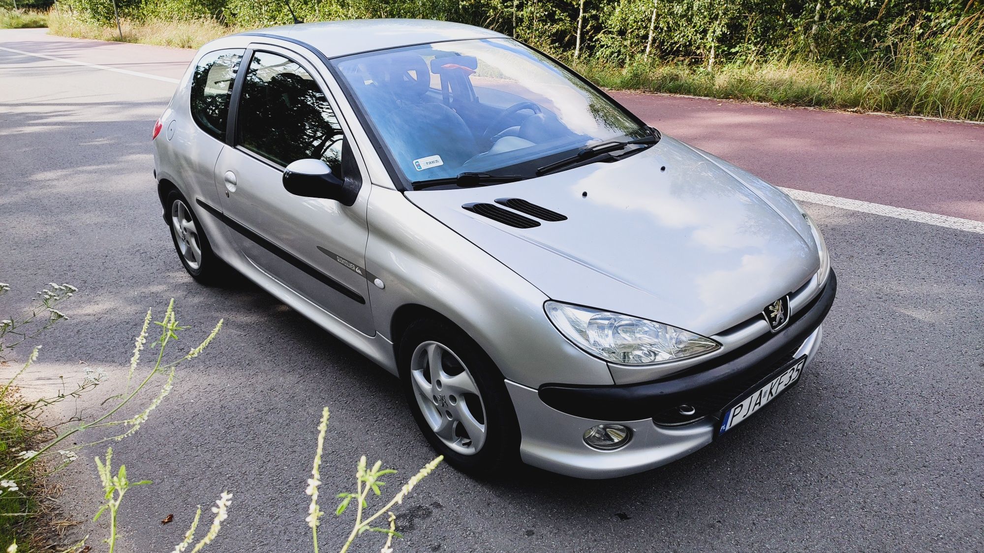 Peugeot 206 2.0 HDi na dojazdy do pracy ekonomiczny