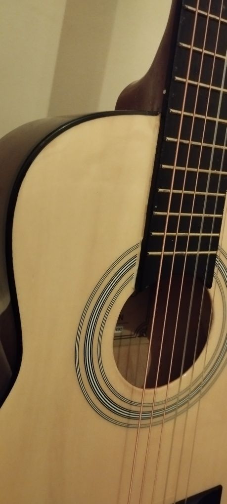 Guitarra Rocio C6n