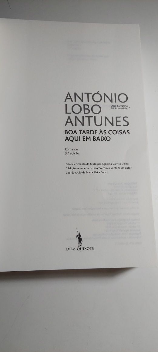 Boa Tarde Às Coisas Aqui em Baixo - António Lobo Antunes