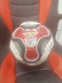 Bola do Benfica assinada pelo plantel 2007/2008