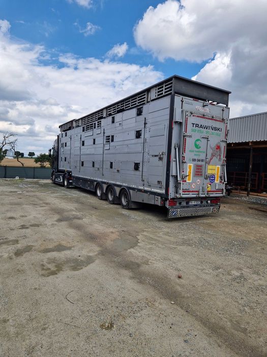 SCANIA S580V8 AUTOMAT  Naczepa Pezzaioli 3pokłady do Żywca, Zwierząt