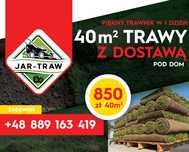 Trawa z rolki, trawnik w rolce 40m2 z dostawa pod dom