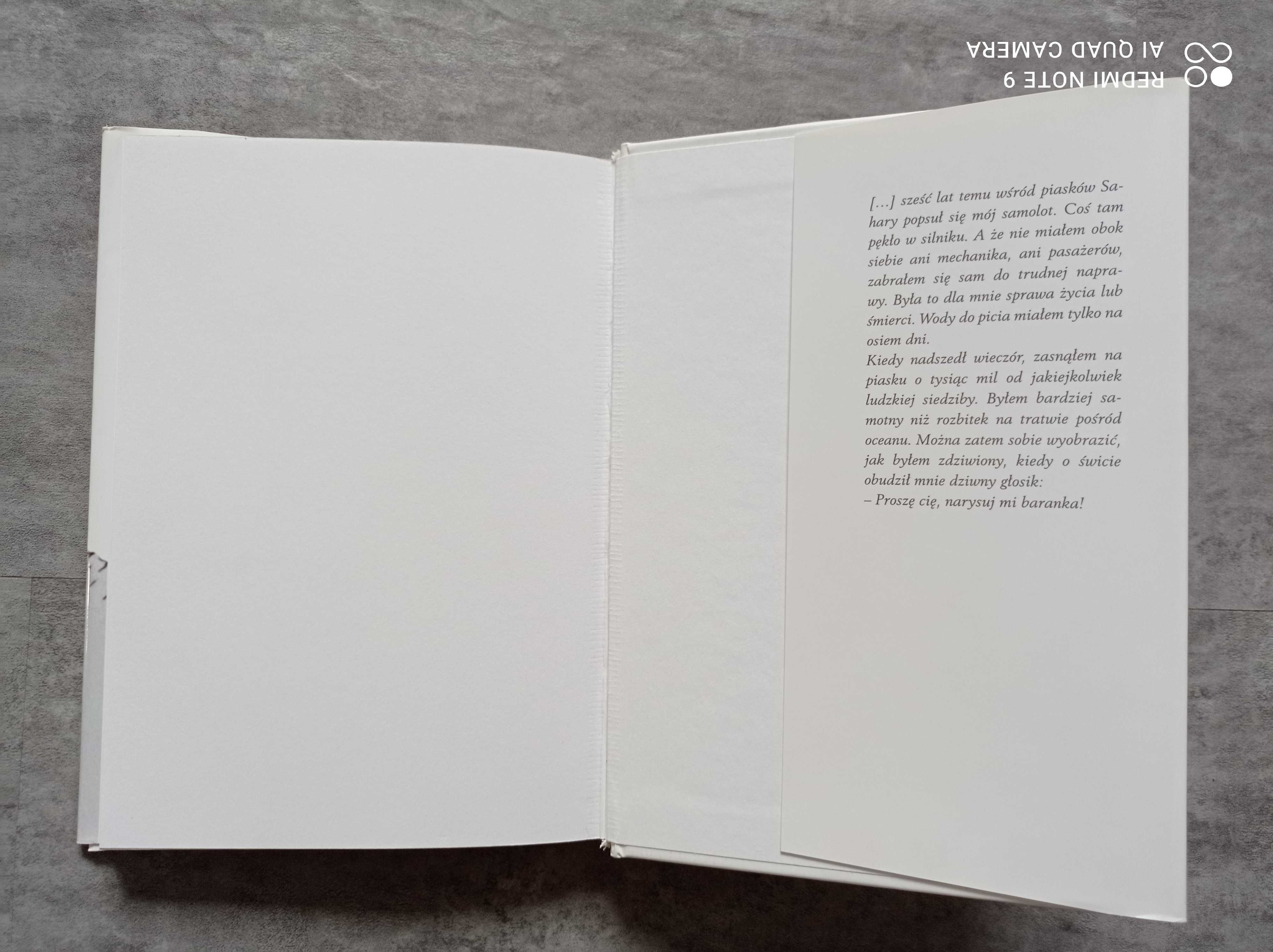 Książka Antoine de Saint Exupery Mały Książę z ilustracjami